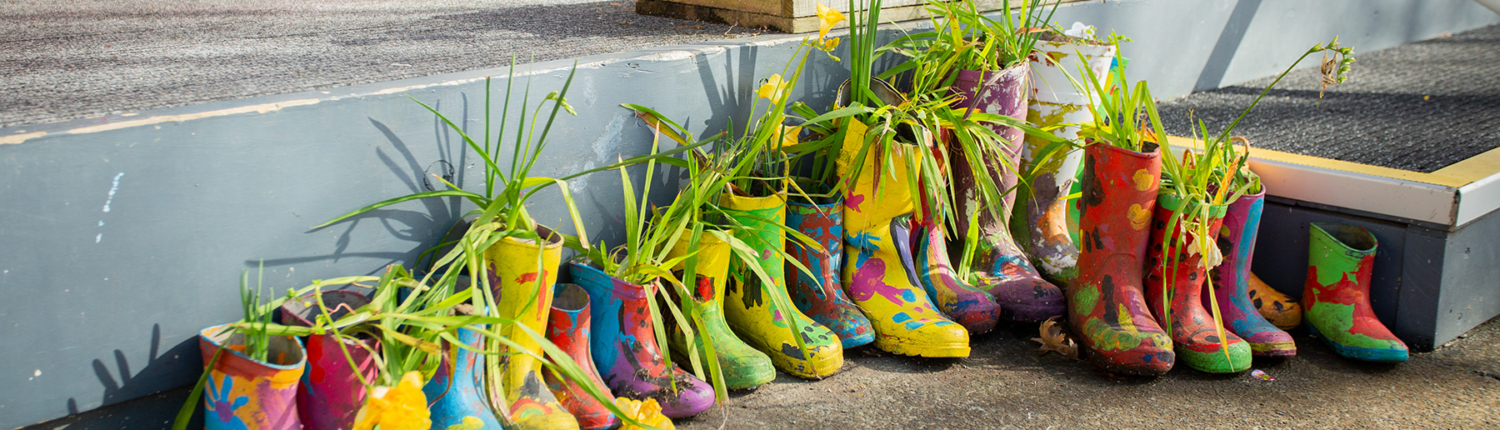 Gumboot plants