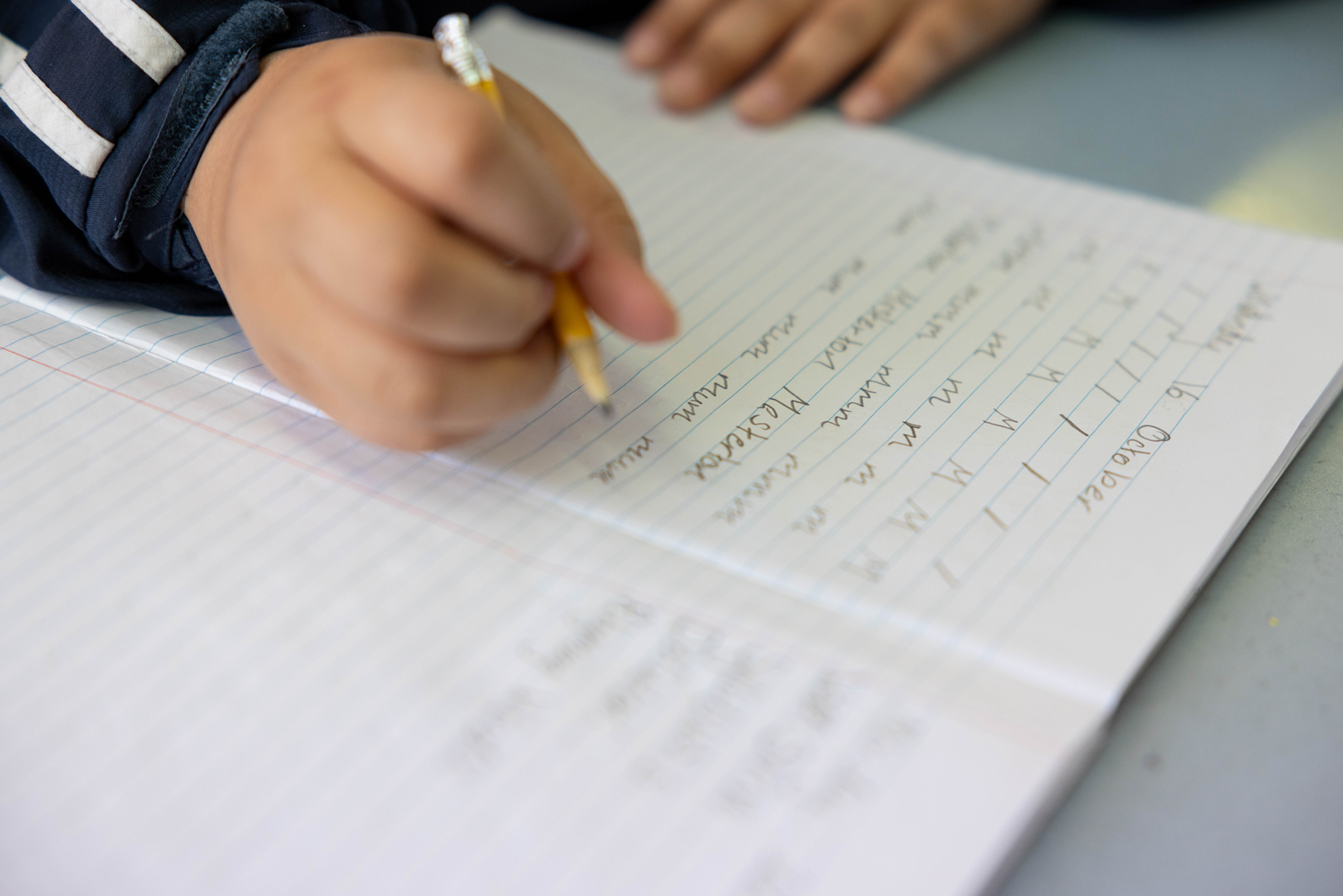 government school donation scheme