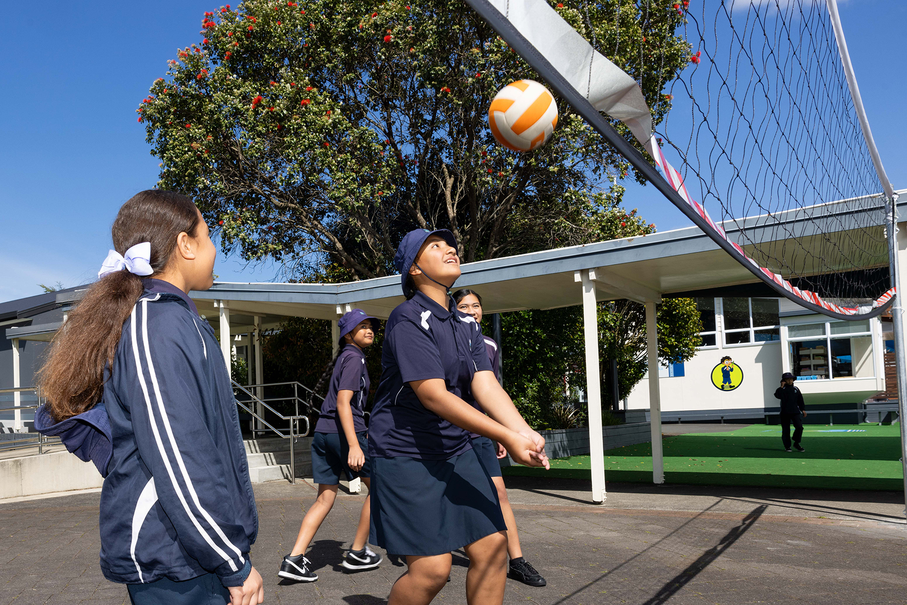 physical education and sport